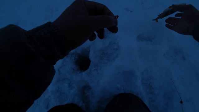 Щуки и окуни атаковали жерлицы. Рыбалка в Марий-Эл.Удельная. Рыбалка на балансир и мормышку смотреть онлайн
