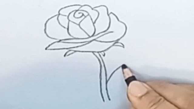 How to Draw a Rose ?@APDRAWING !!Как Нарисовать Розу смотреть онлайн