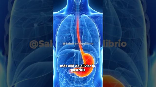 Cómo aliviar la Gastritis p2 #SaludDigestiva #higado #gastritis смотреть онлайн
