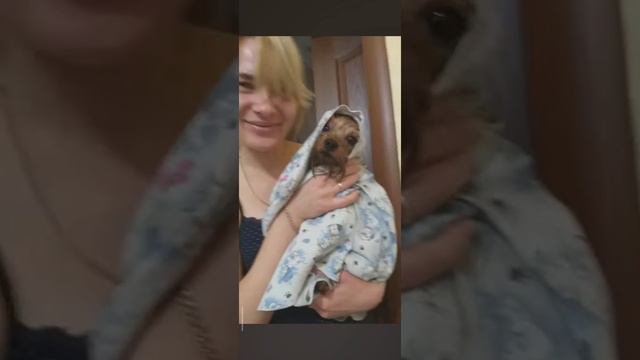 Лакуша❤️ смотреть онлайн