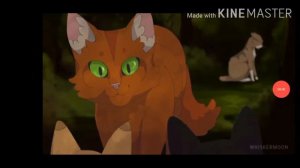 Топ 5 самых глупых поступков предводителей! | коты-воители