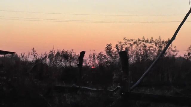 Закат солнца. Закрыть голубей от сов ночных. 05.10. 2016 смотреть онлайн