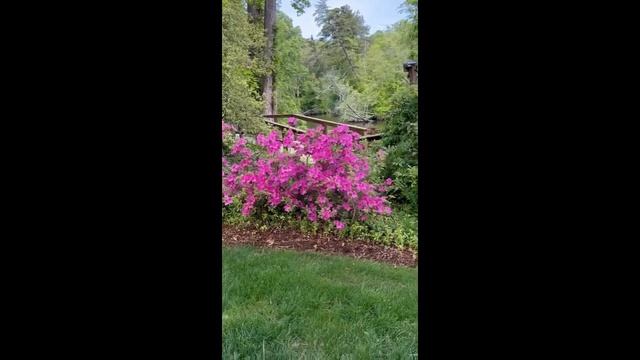 Видео Тур с Академией Природы Др. О, Май 2023 смотреть онлайн
