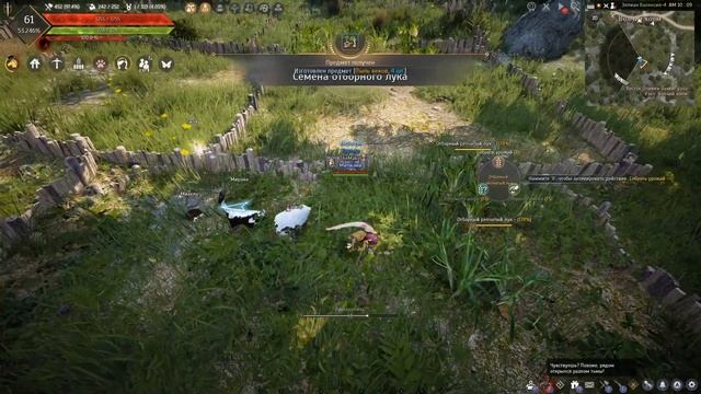 Огород гайд, прокачка, фарм Black Desert смотреть онлайн