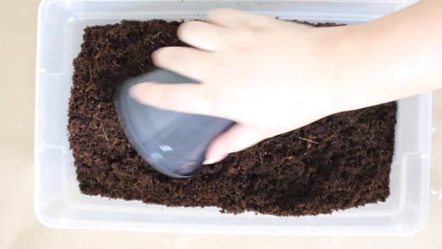 When Should I Repot My Plants?! | Ideal timing, soil mixture, signs you need to repot ASAP смотреть онлайн