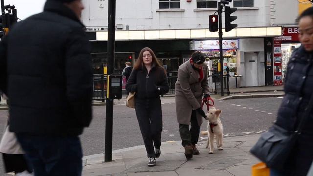 НАШ ЛОНДОН: Михаил Зельман смотреть онлайн