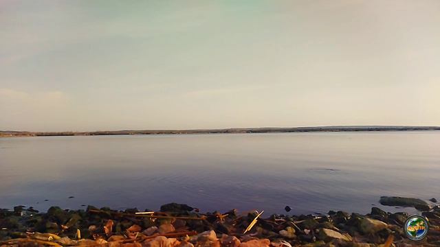 Водохранилище Курской АЭС смотреть онлайн