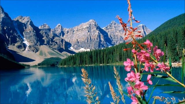 /// HD /// ... MUSIC BY SRI CHINMOY . BE THOU MY ALL . MEDITATION смотреть онлайн