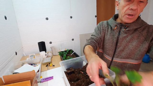 КАКИЕ УДОБРЕНИЯ лучше применять в разное время развития растений 💐. смотреть онлайн