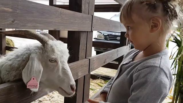 Новый клип, она папина дочка. смотреть онлайн