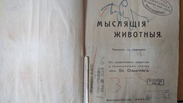 Видеопрезентация «Из коллекции книг с владельче.mp4 смотреть онлайн