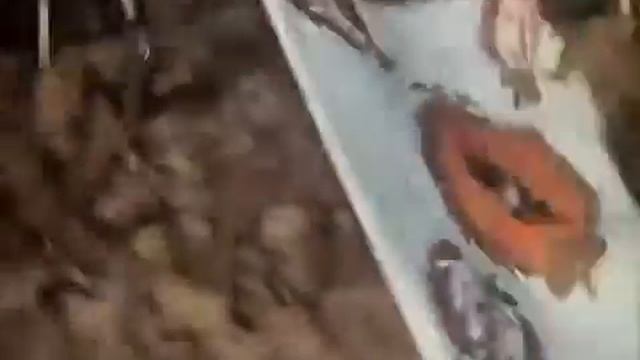 МЫ РУССКИЕ Жанна Бичевская смотреть онлайн