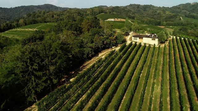 Travaglini Winery смотреть онлайн