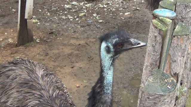 Далянь смотреть онлайн