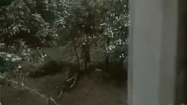 Волонтир - Нас не нужно жалеть смотреть онлайн