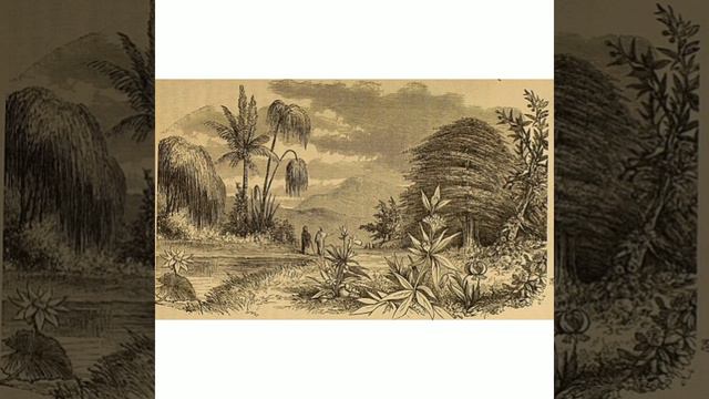 Psalm - 3:3 (Poetic Description Explanation) # Saviour # Stronghold # Shield смотреть онлайн