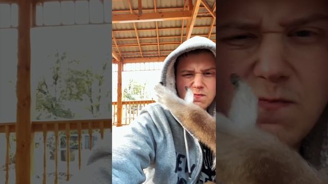 Дружба с белоруким гиббоном Джимом смотреть онлайн