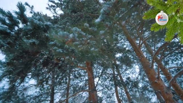 Скоро, скоро Новый год. смотреть онлайн