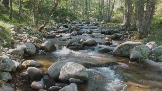 Relaxing Guitar Music ? Gentle Melodies Helps You Concentrate Your Thoughts And Forget About Time смотреть онлайн