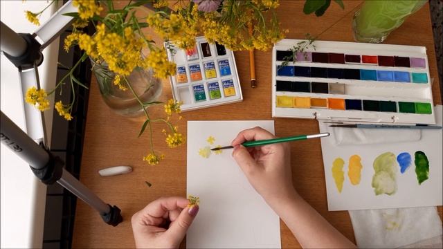 РИСУЕМ АКВАРЕЛЬЮ: ПОЛЕВЫЕ ЦВЕТЫ И ТРАВЫ