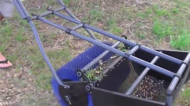 Picking Up Acorns with Baganut Nut Roller- OLD STYLE смотреть онлайн