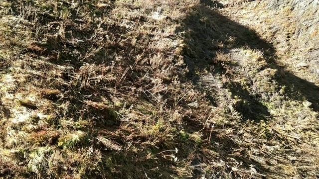 Сегодня. Сочи. Красная Поляна. Канатка, качели. Мегазиплайн. Супер тролей смотреть онлайн