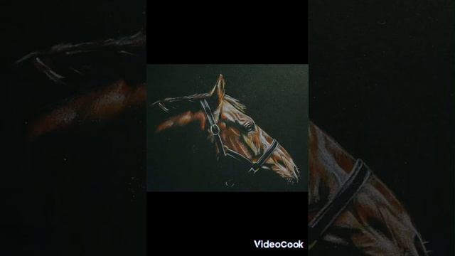 идеи рисунков лошадей смотреть онлайн