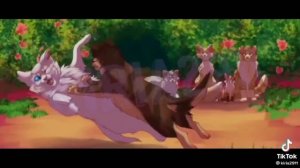 подборка //Коты Воители// из тик тока //1 часть //  by : Smoky Star #возродимрукв. #котывоители #кв