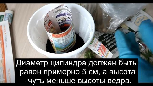 Хитрый способ укоренения туи с помощью газеты! Хоть плантацию высаживай! смотреть онлайн
