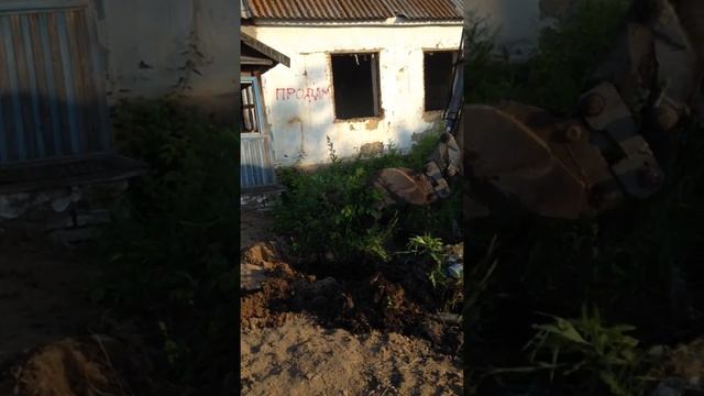 Дом из руин - удаление корней клёна 1 смотреть онлайн