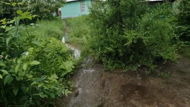 В Красном Сулине резко поднялся уровень воды в реке Гнилуша смотреть онлайн