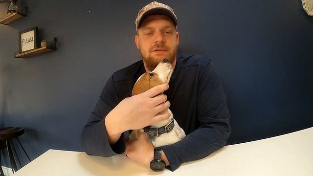 Jack Russell Terriers and Shedding (9 Tips For Success) смотреть онлайн