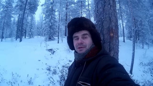 Карабин "Вепрь" Пробьет ли огромную сосну??? Можно ли спрятаться от пули за деревом? смотреть онлайн