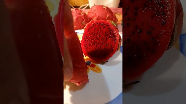 Драконий глаз. Питайя. Питахайя. Экзотический фрукт. Быстрорастущее из семейства кактусовых. смотреть онлайн