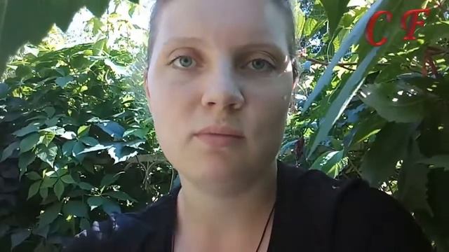 CANTICUM FESTUM БЕСЕДЫ О МУЗЫКЕ. ДАВАЙТЕ ВСЕГДА ОСТАВАТЬСЯ ЛЮДЬМИ смотреть онлайн