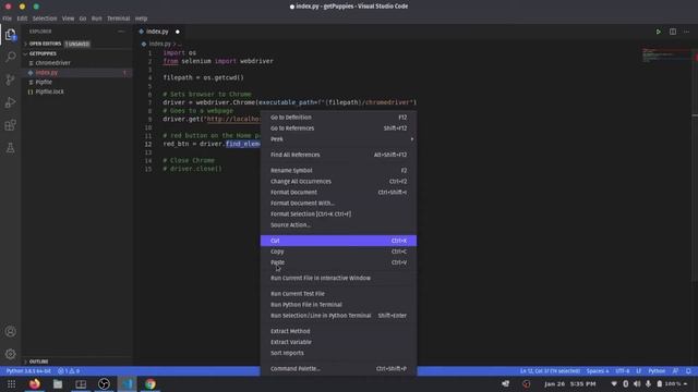 Get Covid Vaccine and Puppies using Python - Python/Selenium 101 смотреть онлайн
