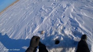 Говорят хапуги хапают, вот удочка реально ловит!.mp4