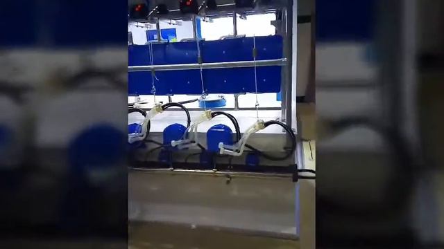 Сельхоз выставка на ВДНХ . Агрофарм 2017