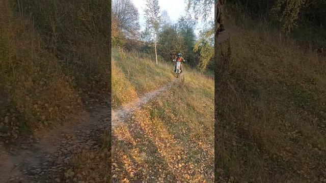 #эндуро #питбайк #regulmoto #seven смотреть онлайн