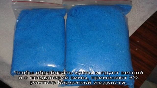 Обработка винограда медным купоросом весной смотреть онлайн
