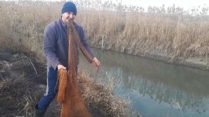 ведро рыбы на китайский парашют(кастинговая сеть)