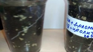 Цеолит. Результат применения на рассаде (часть1)