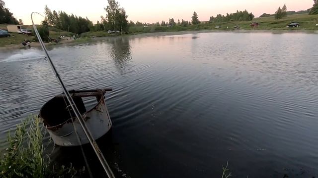 Ловим ОСЕТРОВЫХ в июле на платниках подмосковья... смотреть онлайн