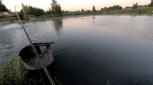 Ловим ОСЕТРОВЫХ в июле на платниках подмосковья...