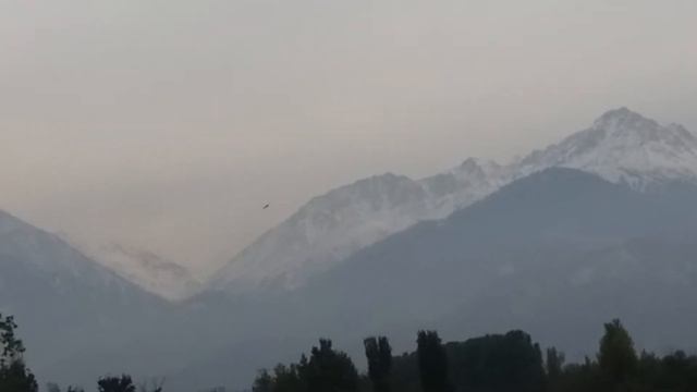 Орлица с орлёнком кружат,в горах . смотреть онлайн