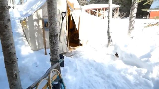 Yamaha Bravos and Prospector Tent/Camp 2022