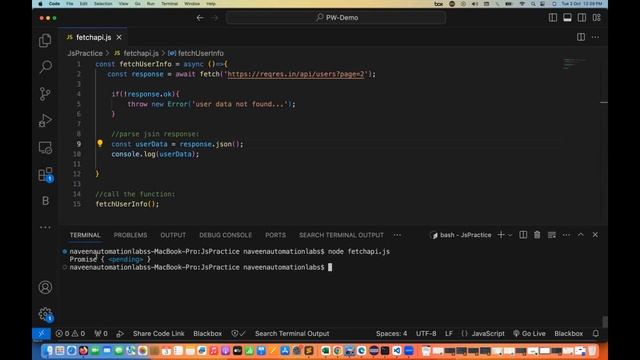 #31 - Fetch API Data with Async-Await in javaScript смотреть онлайн