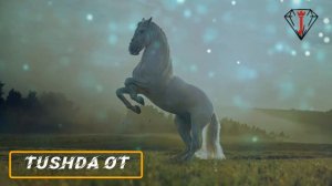 От тушда курса нима булиши хакида туш табири