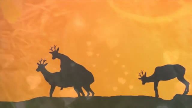 Ted Mosbi - как сношаются киты смотреть онлайн