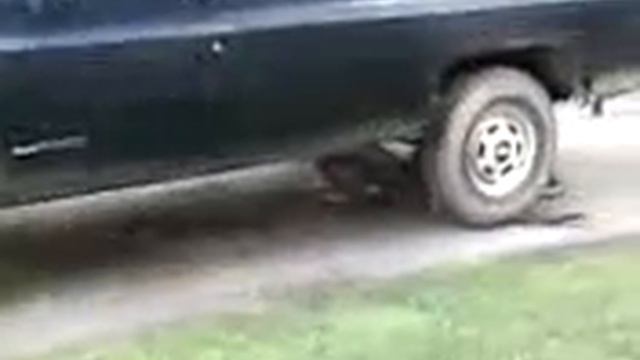 Suburban + Bike смотреть онлайн